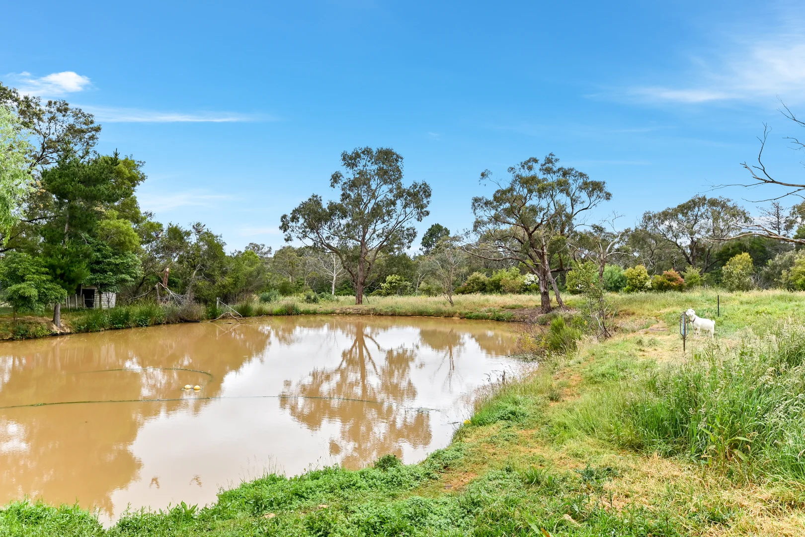 Additional image 5 of 50 Langley Road, Cranbourne South VIC 3977