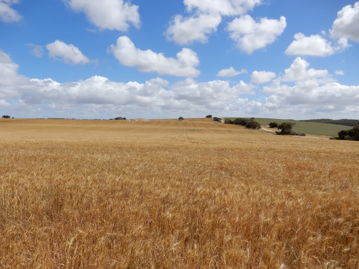 Additional image 18 of 33 Lutze Road, Coonalpyn SA 5265