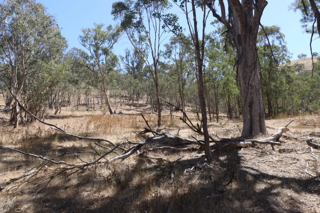 Additional image 5 of 426a Cavan Road, Yass NSW 2582