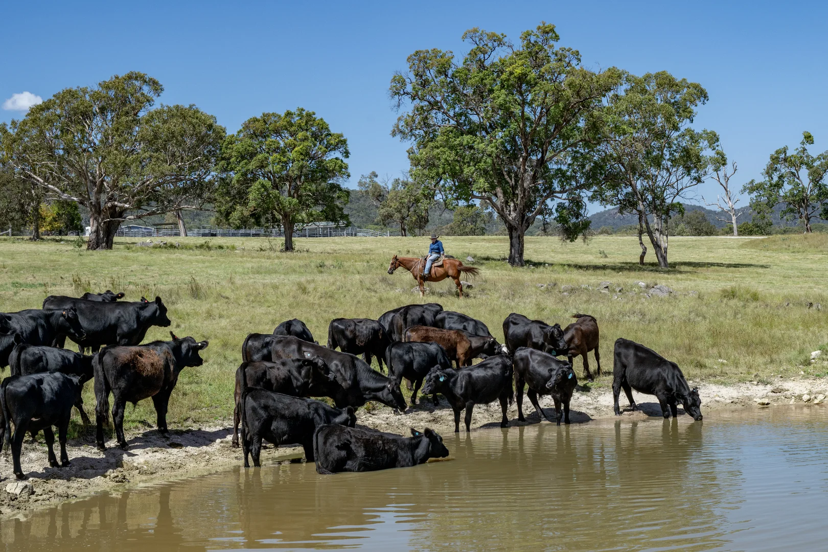 Additional image 20 of 1166 New England Highway, Tenterfield NSW 2372