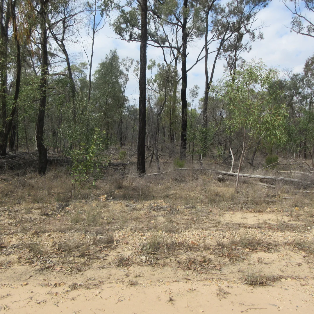 Additional image 4 of Lot 25 Cnr Vickery and Chappells Road, Tara QLD 4421