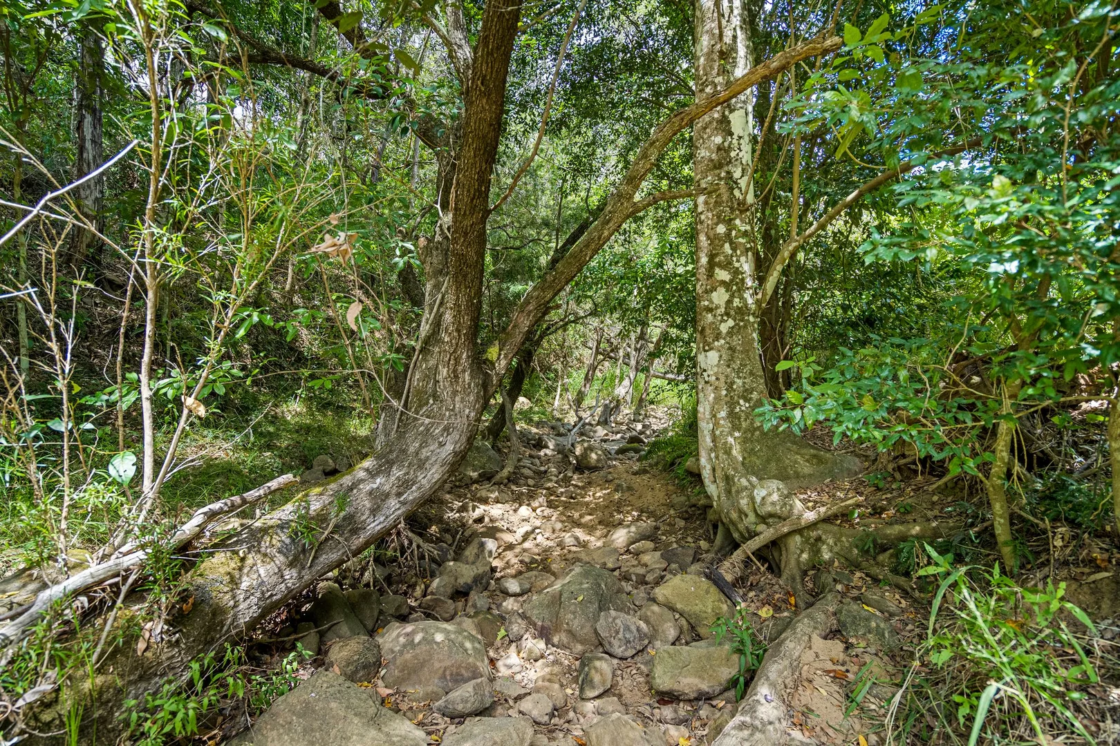 Additional image 13 of Lot 76 Rice Road, Lyons QLD 4124