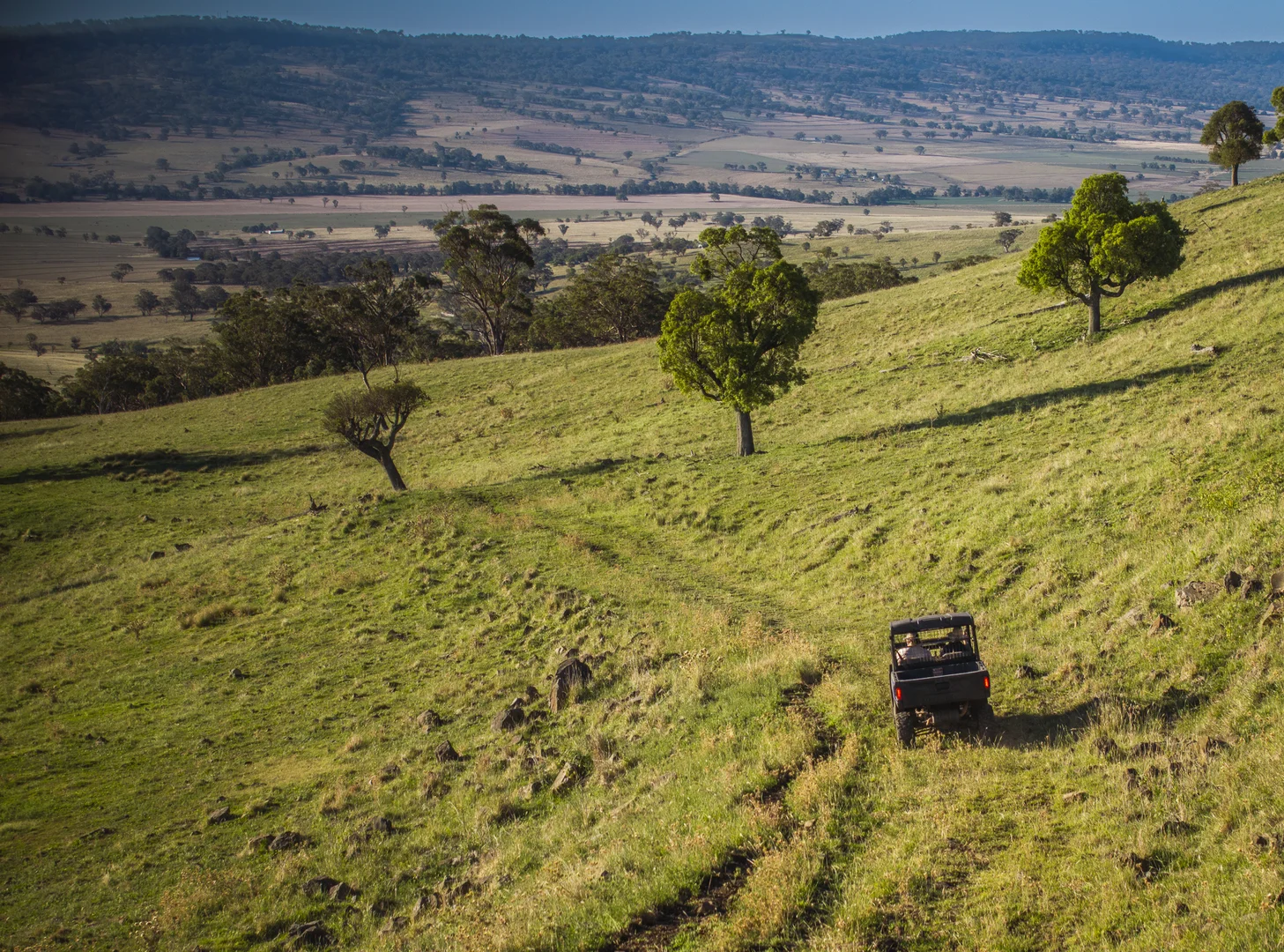 Additional image 6 of 'Mountainside' 250 Mountain Side Road, Coolah NSW 2843