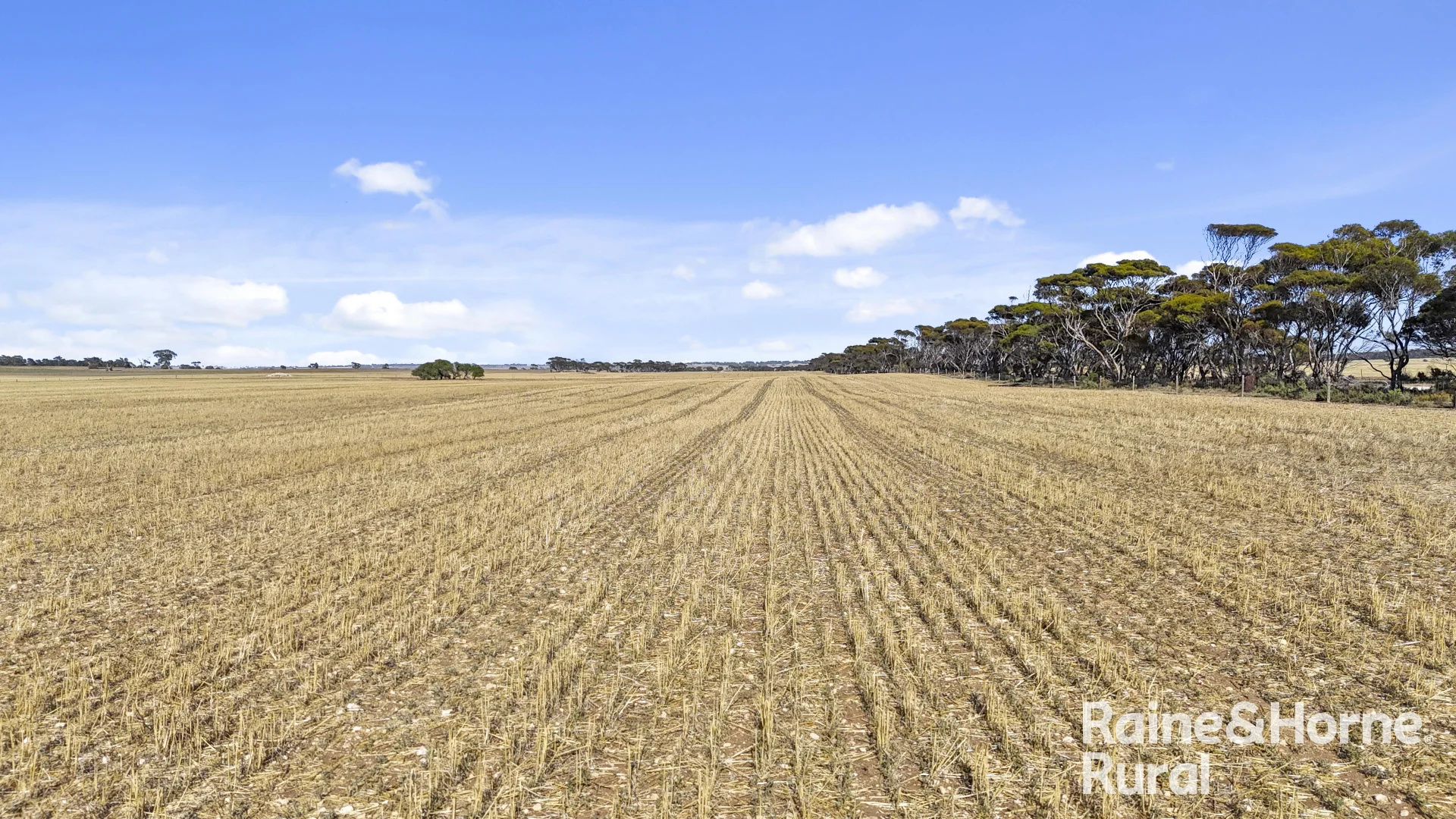 Additional image 20 of A50 Harvey Road, Woodchester SA 5255