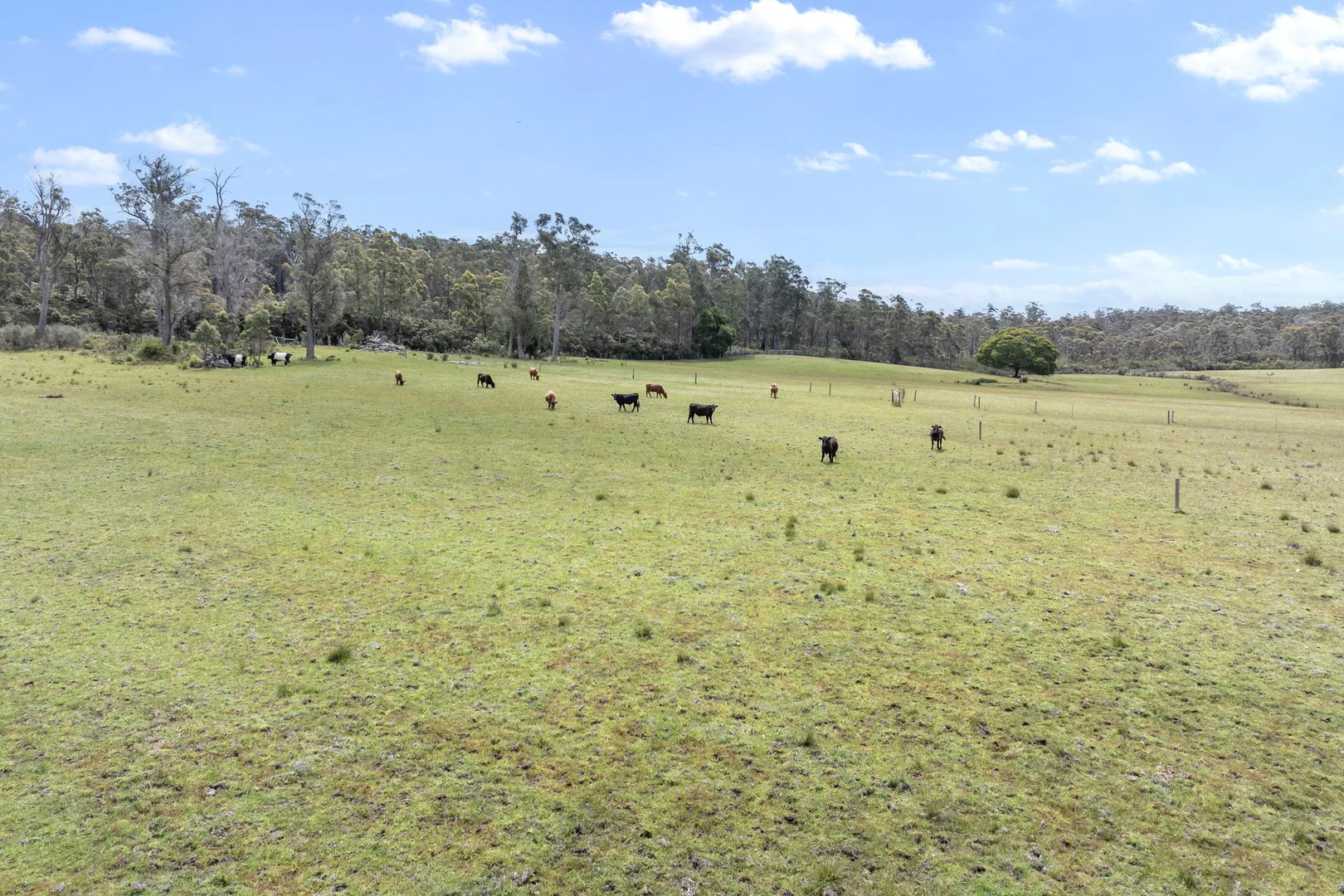 Additional image 18 of 399 Ferny Hill Road, Golconda TAS 7254