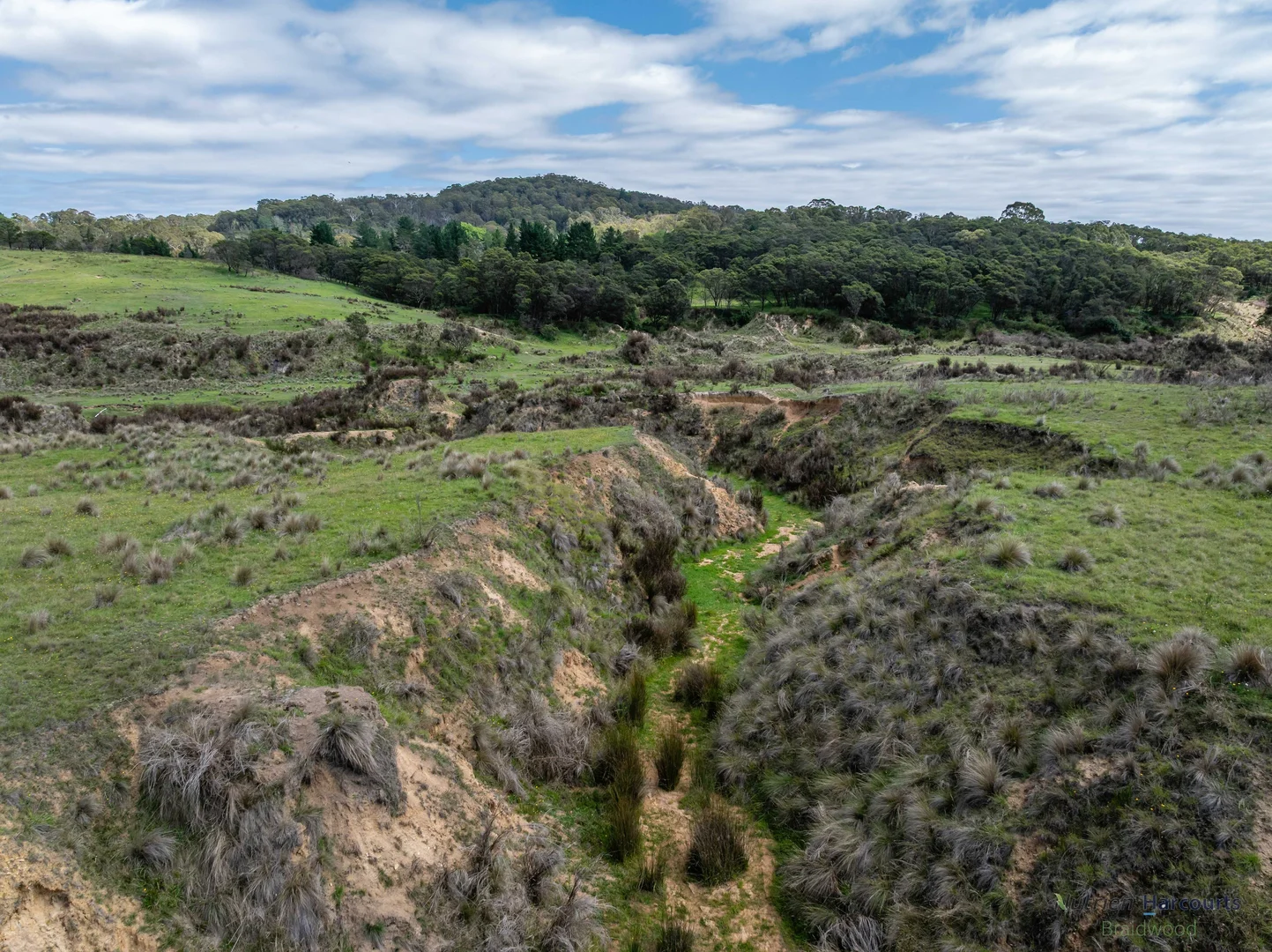 Additional image 9 of 1130 Majors Creek Road, Braidwood NSW 2622