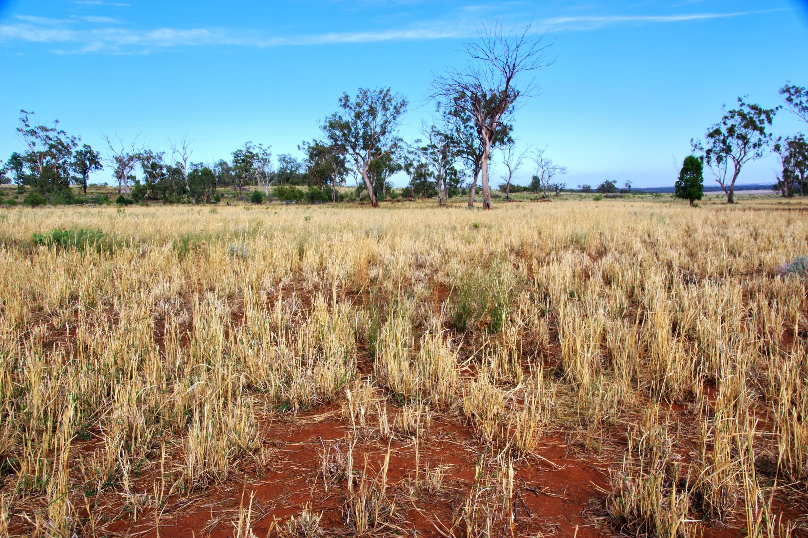 Additional image 3 of 2381. Killarney Gap Road, Narrabri NSW 2390