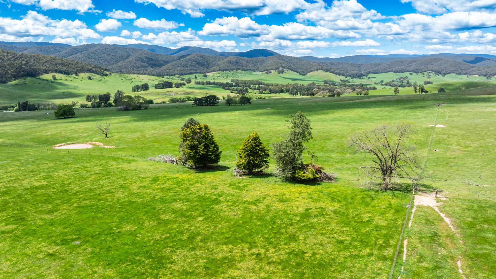 Additional image 6 of 'Grassmere'/2485 Tallangatta Creek Rd, Tallangatta Valley VIC 3701