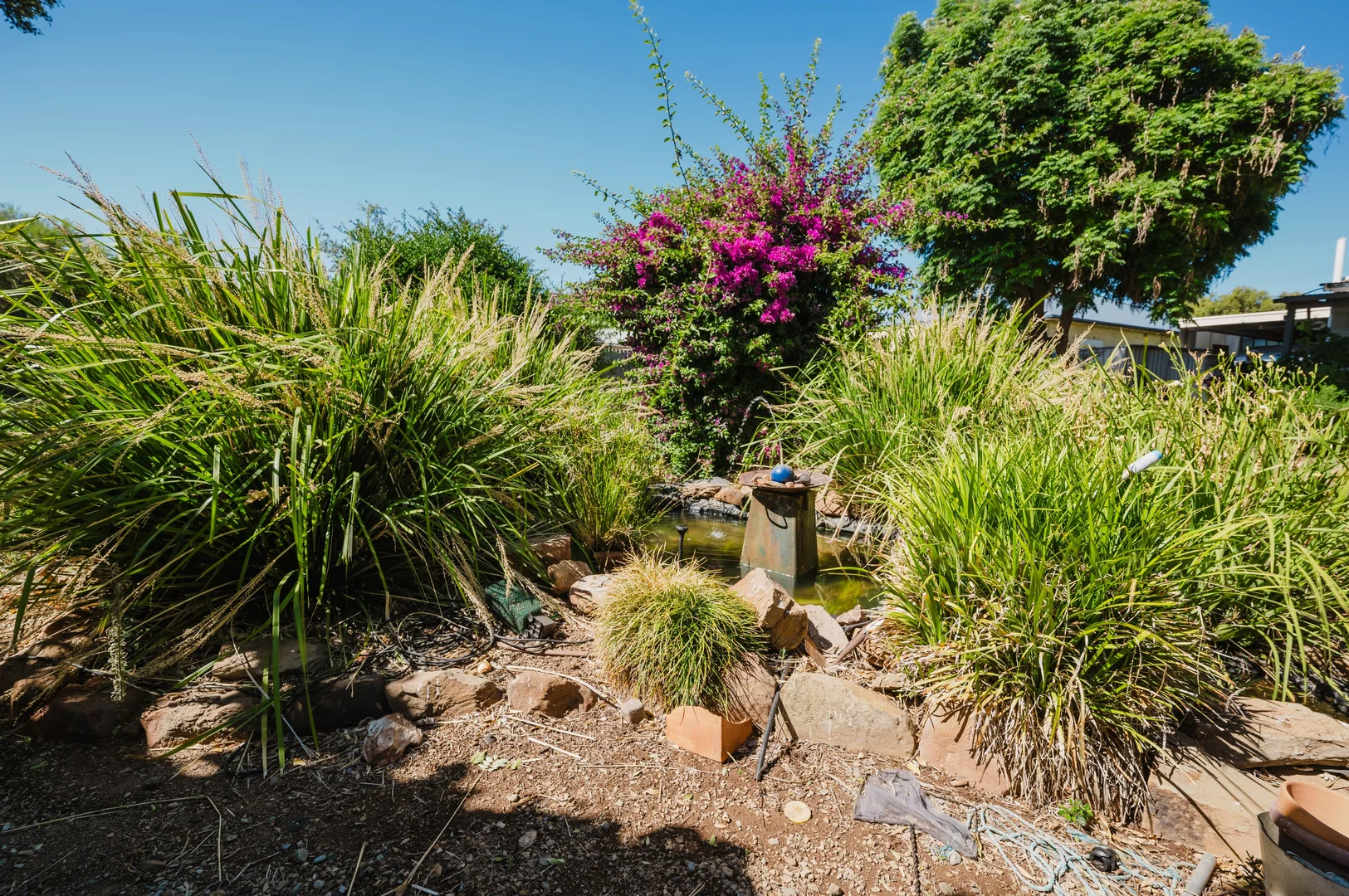 Additional image 19 of 25 East Tce, Booborowie SA 5417