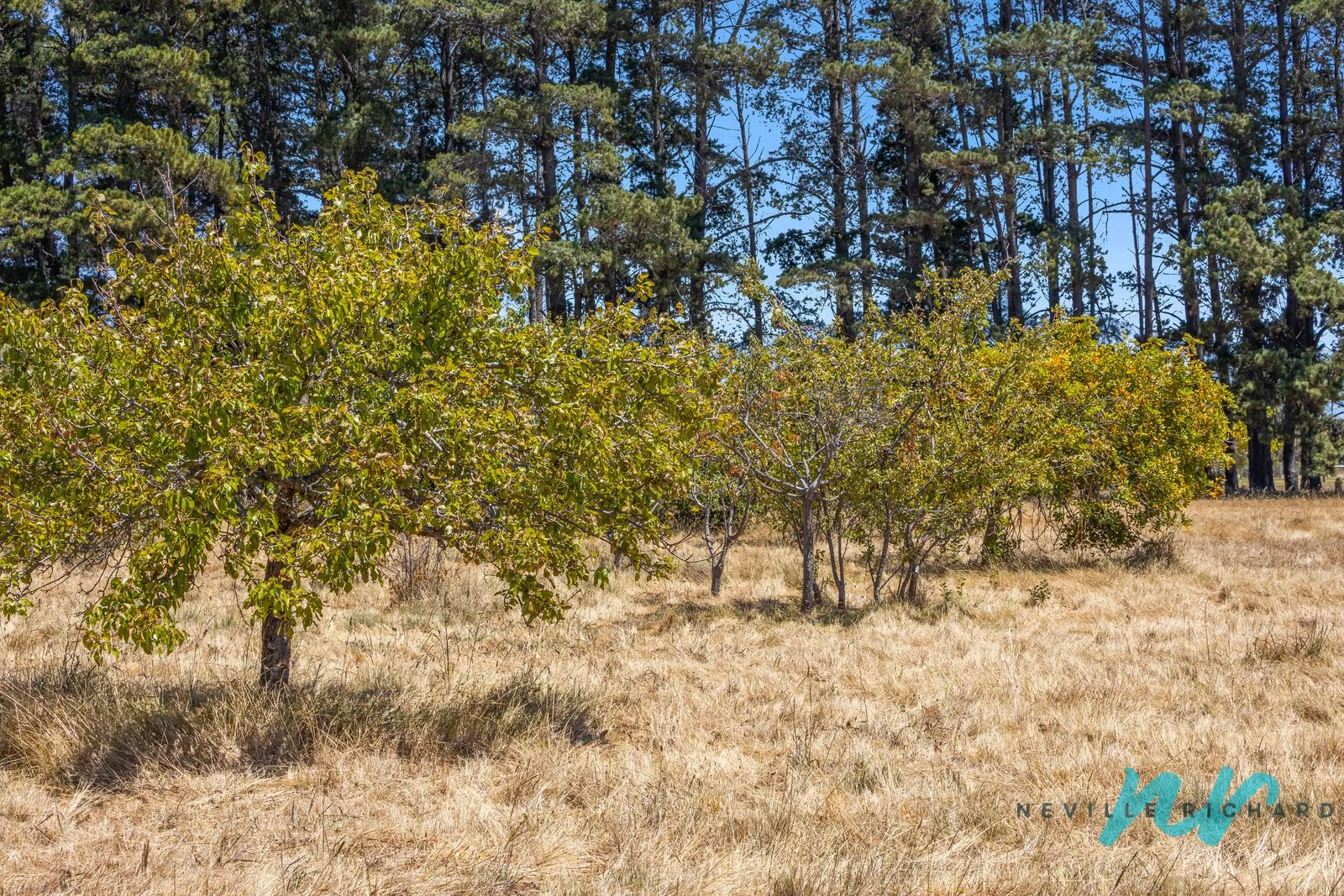 Additional image 9 of 111-119 Old St Leonards Road, St Leonards VIC 3223