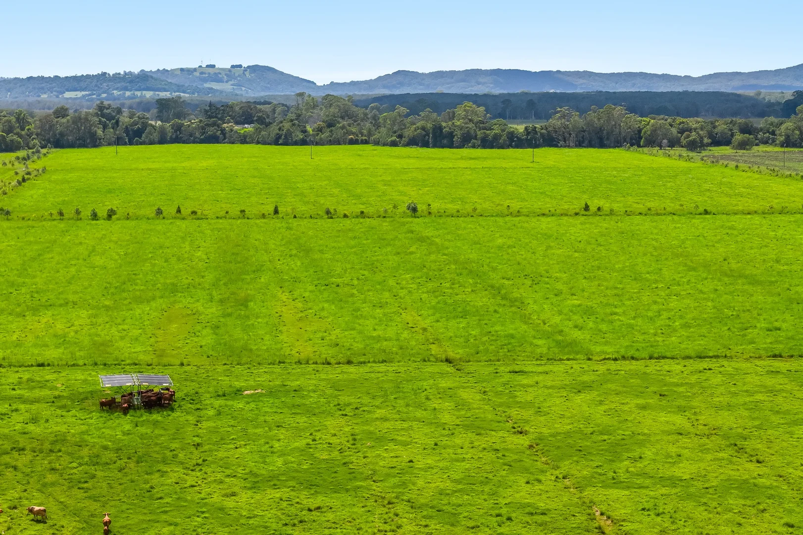 Additional image 49 of 1368 Wyrallah road, Tucki Tucki NSW 2480