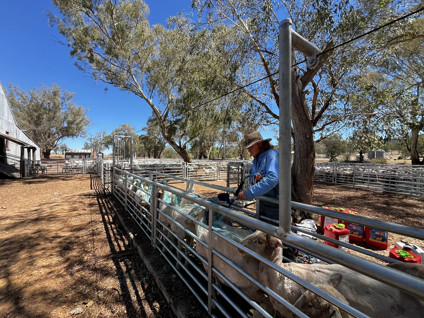 Additional image 19 of Address Via Request Road, Grenfell NSW 2810