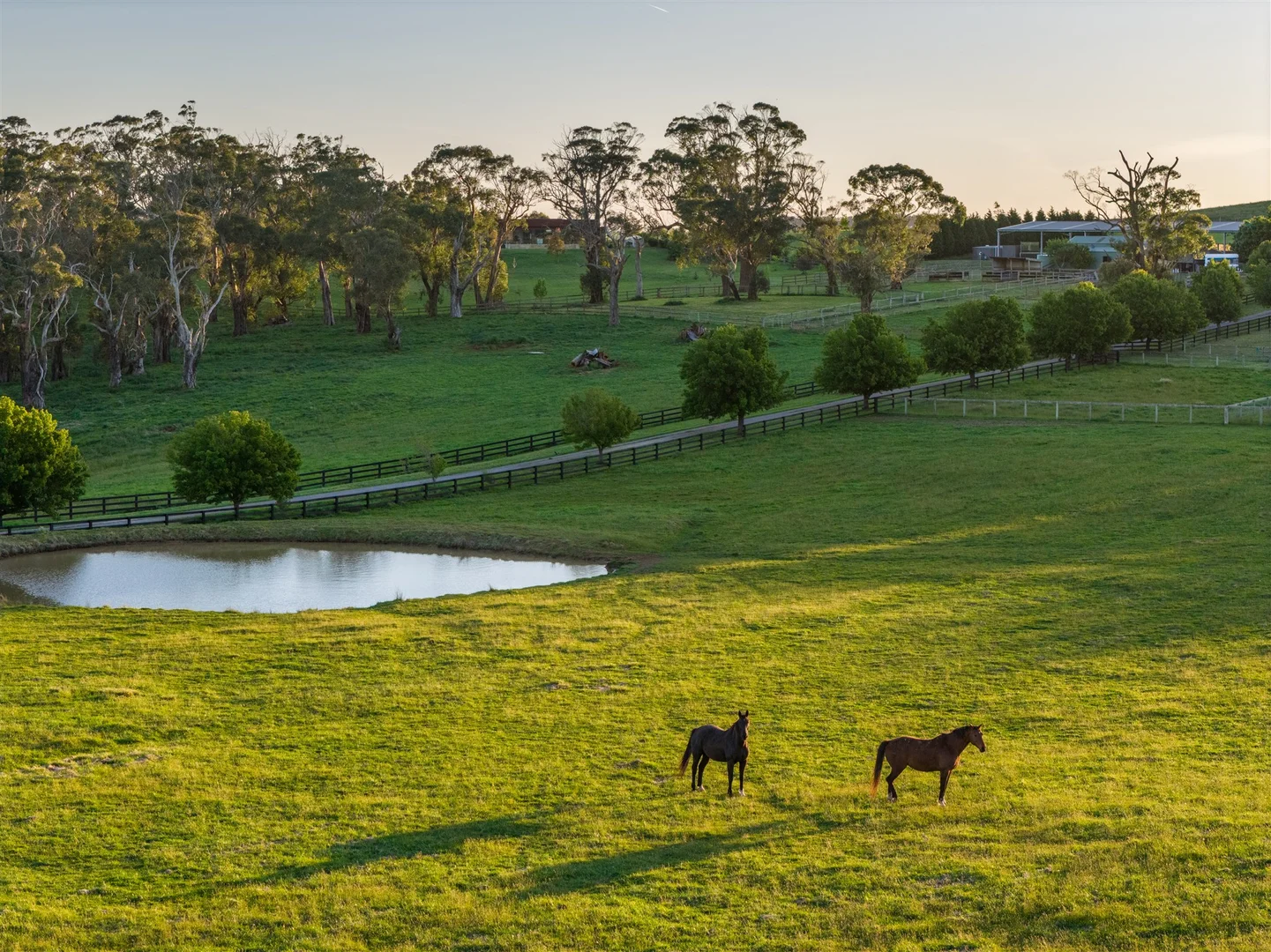 Additional image 31 of 62 Bibby's Lane, Werai NSW 2577