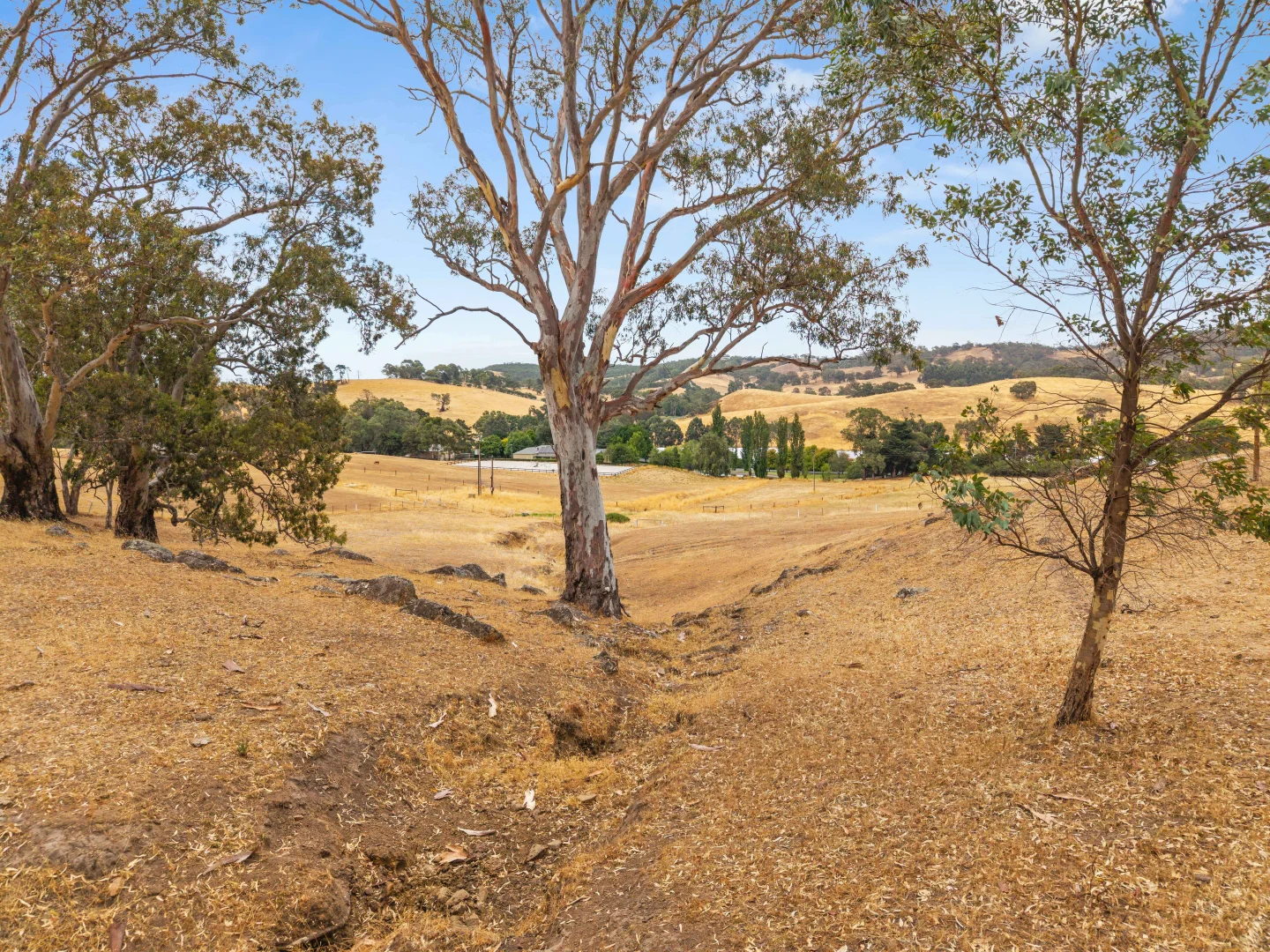 Additional image 19 of 226 Forreston Road, Forreston SA 5233