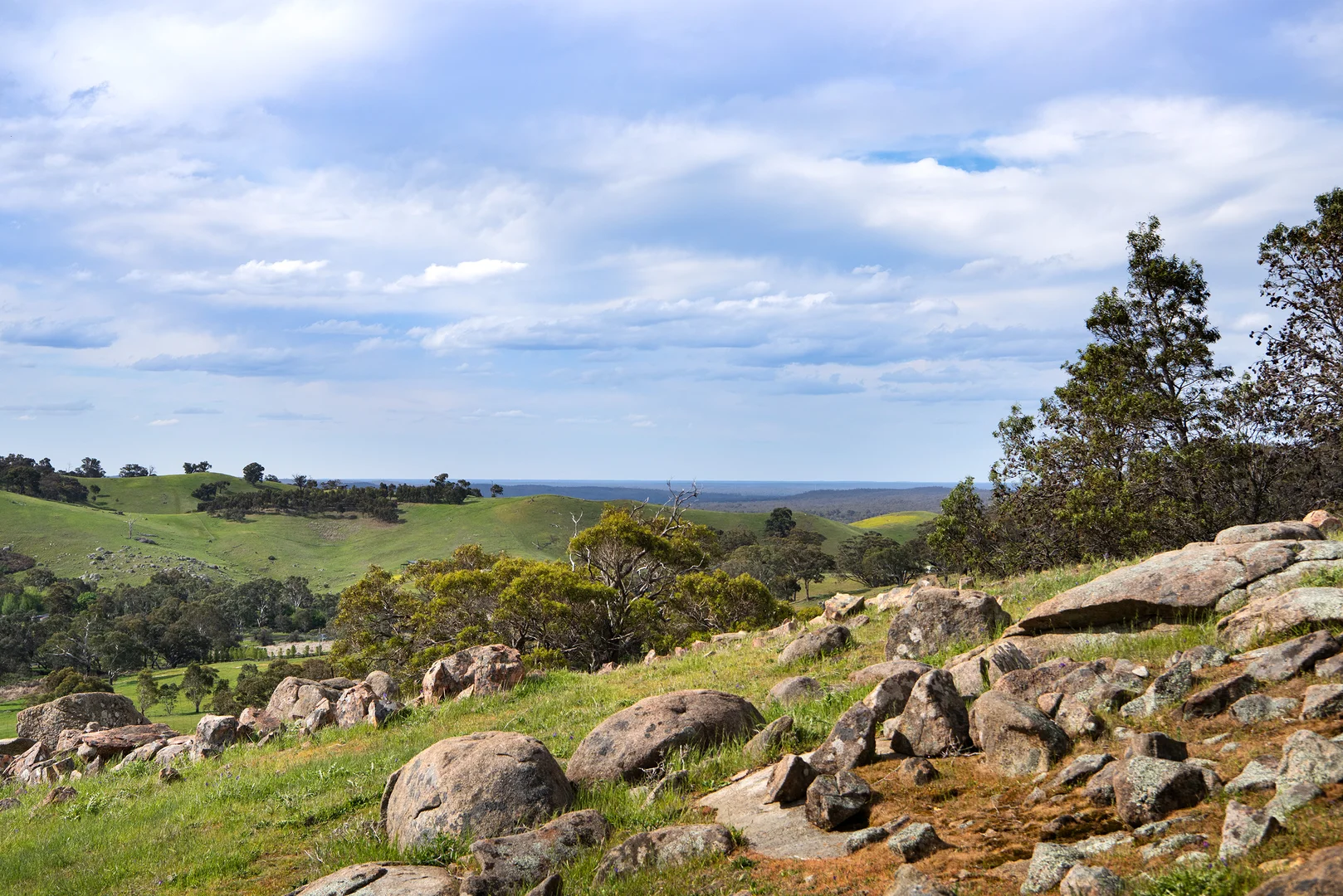 Additional image 6 of 93 Youngs Lane, Sedgwick VIC 3551