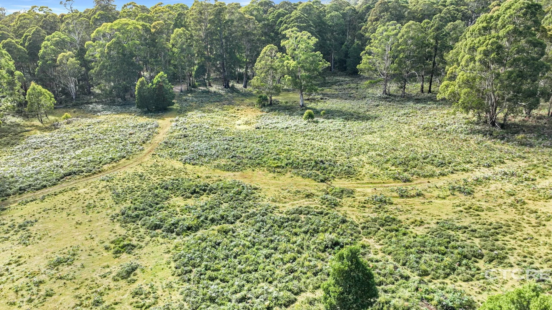 Additional image 4 of 12F & 12G Minchins Track, Bonang VIC 3888