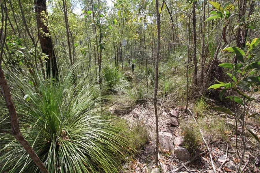 Additional image 26 of Lot 26 Tableland Road, Mount Maria QLD 4674
