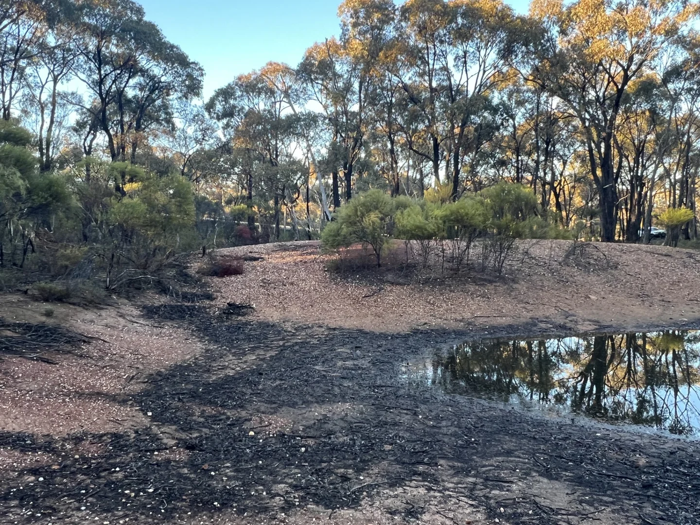 Additional image 4 of 373 Josephine Drive, Wedderburn VIC 3518