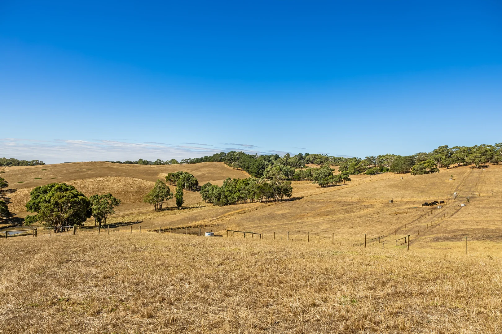 Additional image 28 of 224 Nicol Road, Meadows SA 5201