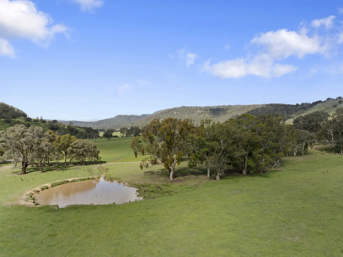 Additional image 7 of Mansfield VIC 3722