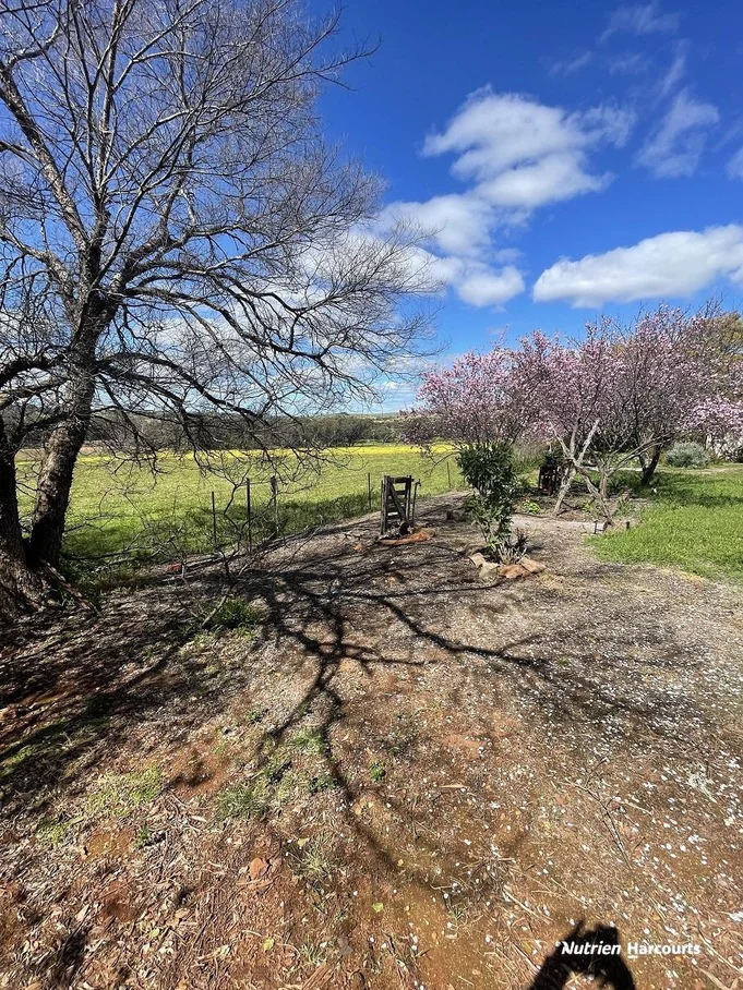 Additional image 36 of 967 Northam-Toodyay Road, Katrine WA 6401