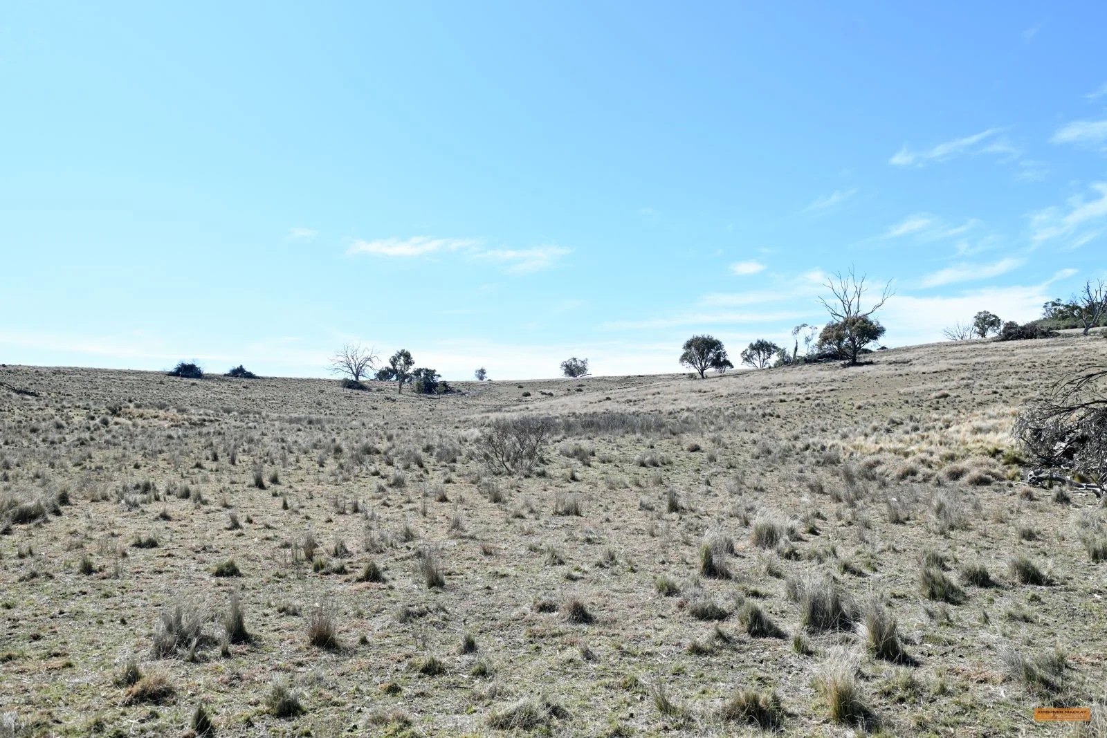 Additional image 31 of "The Top Paddock" Bairds Crossing Road, Dalgety NSW 2628