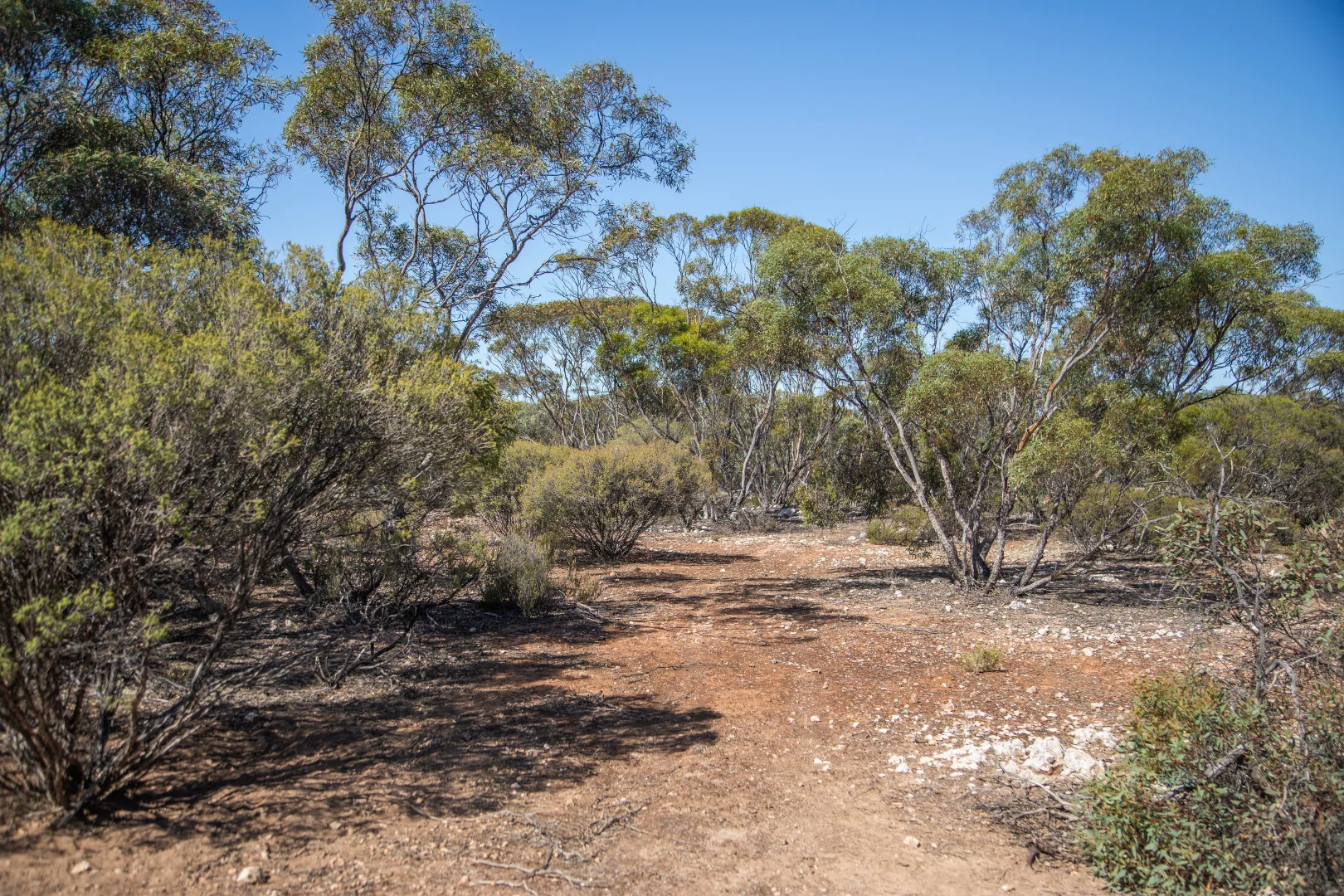 Additional image 12 of Lot 102 Green Road, Ettrick SA 5253