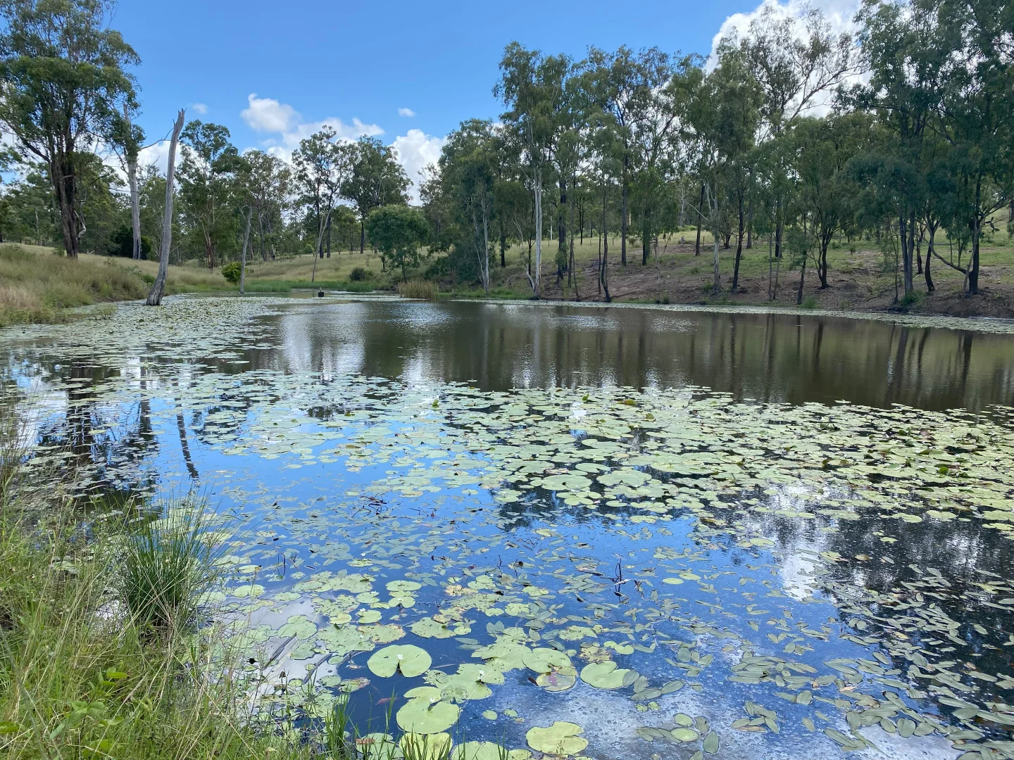 Additional image 8 of 'Sunrise' Mclaughlans Road, Monto QLD 4630
