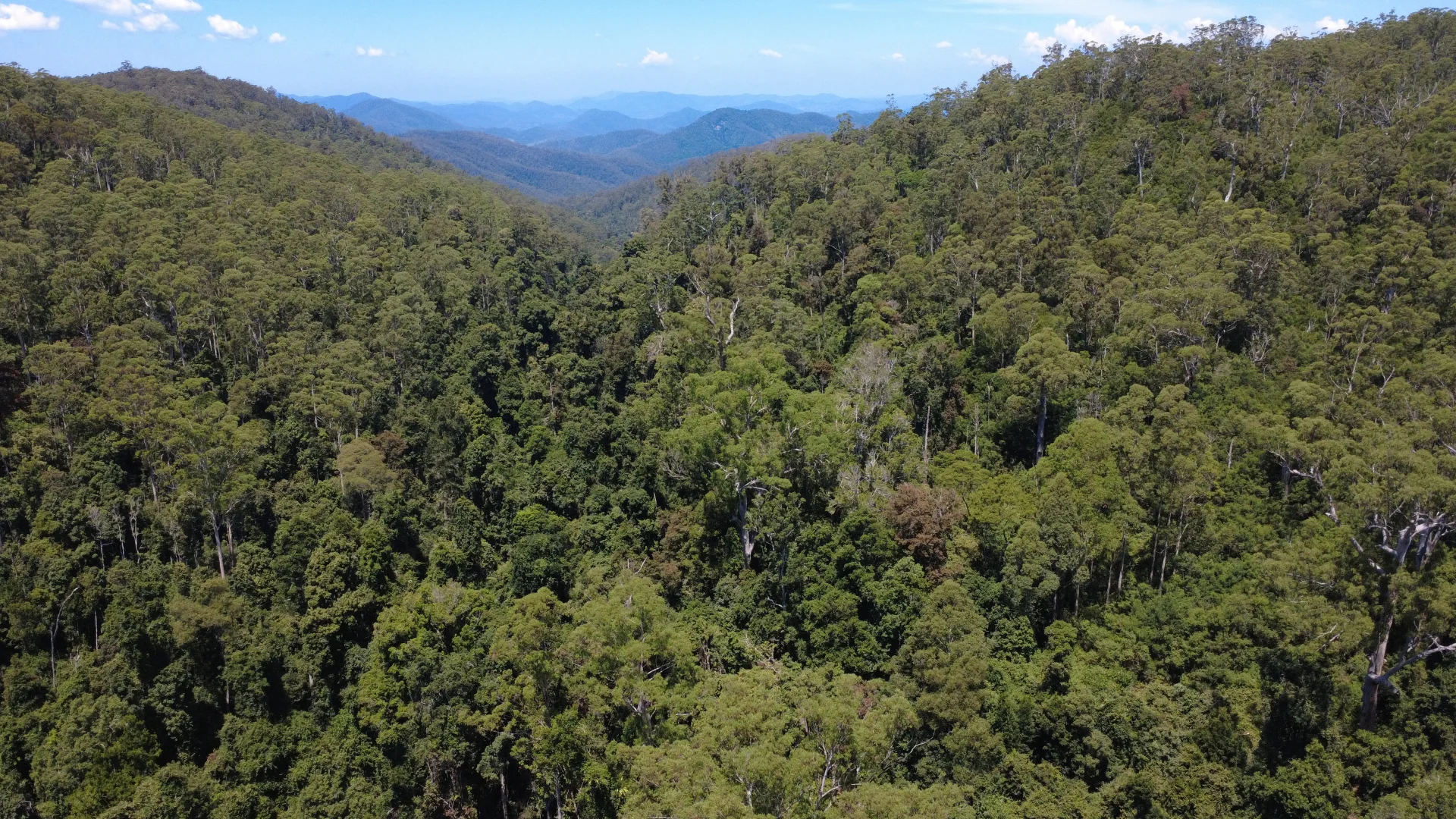 Additional image 13 of Baxters Ridge Road, Gloucester NSW 2422