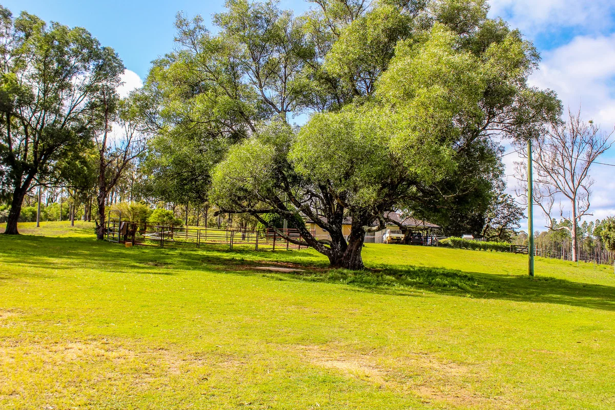 Additional image 21 of 315 Myrtle Creek Road, Myrtle Creek NSW 2469