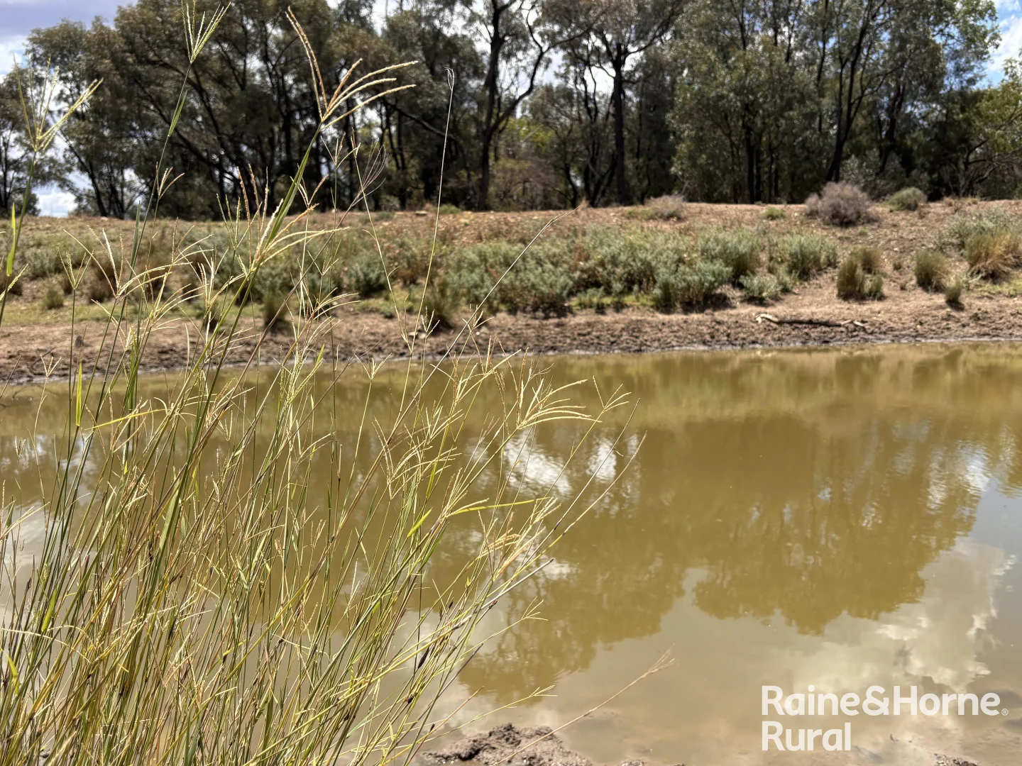 Additional image 6 of 330 Burrow Downs Road, Injune QLD 4454