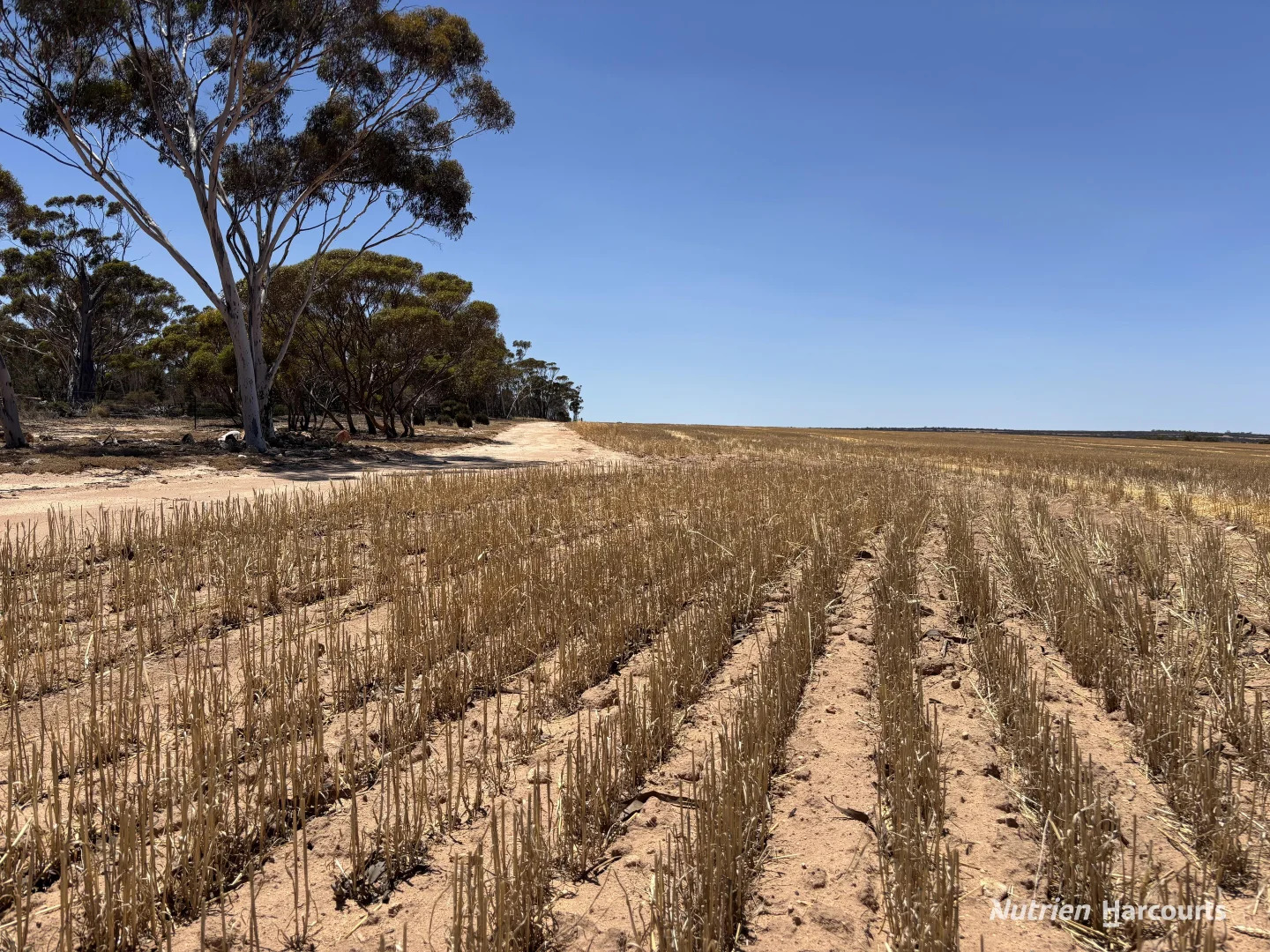 Additional image 2 of . 'Lumari', North Bodallin WA 6424