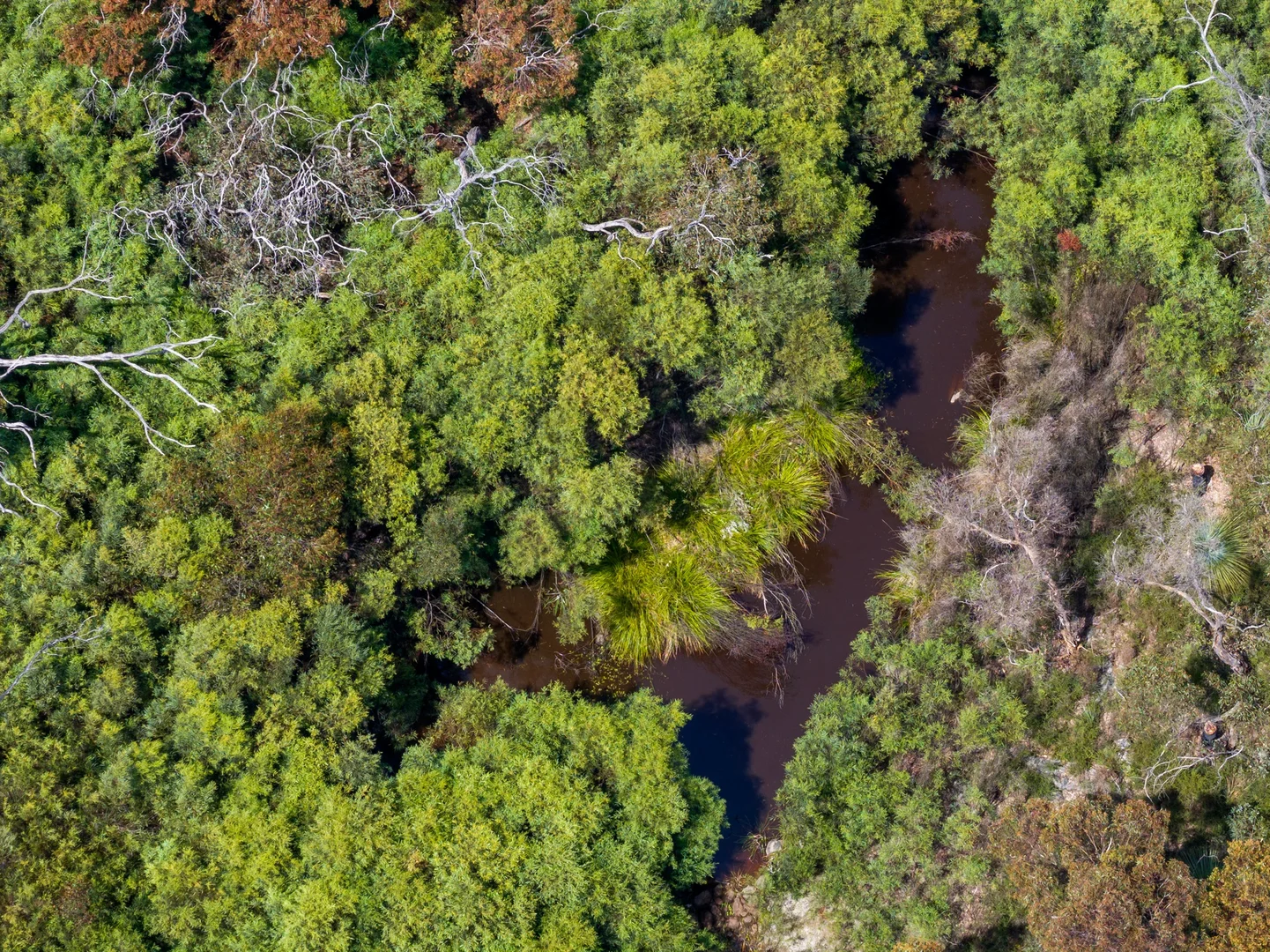 Additional image 44 of 157 Berrymans Road, Gosse SA 5223