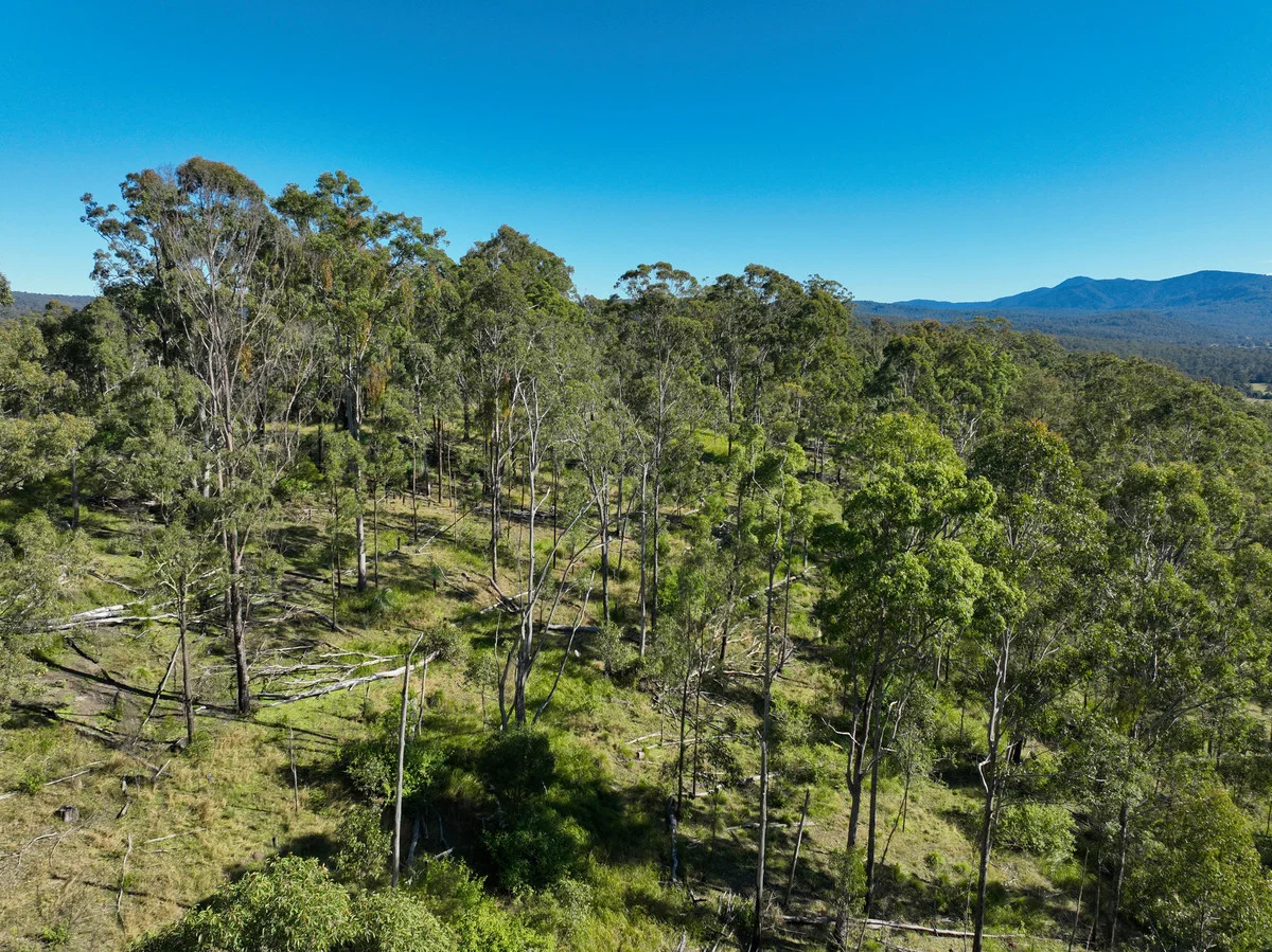 Additional image 22 of 4339 Summerland Way, Unumgar NSW 2474