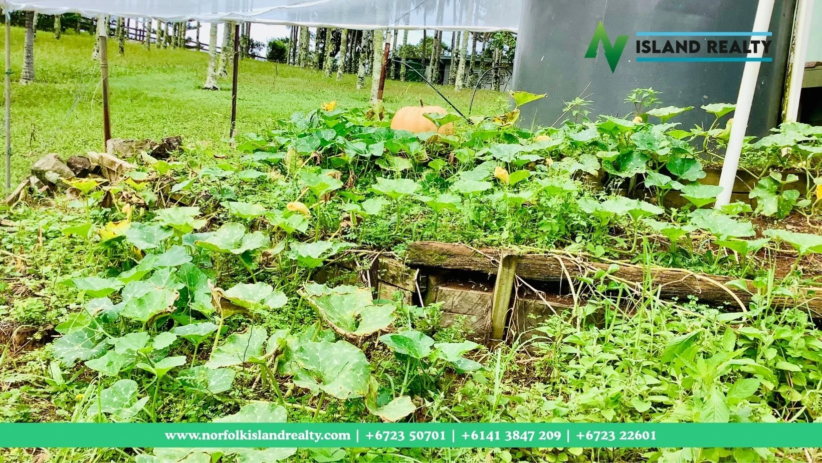 Additional image 35 of 75 Stockyard Road,, Norfolk Island NSW 2899