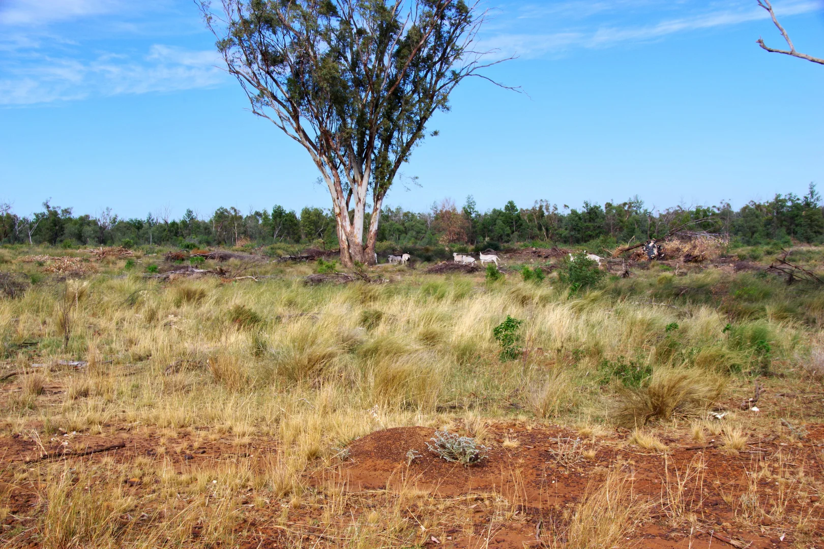 Additional image 30 of 2381. Killarney Gap Road, Narrabri NSW 2390