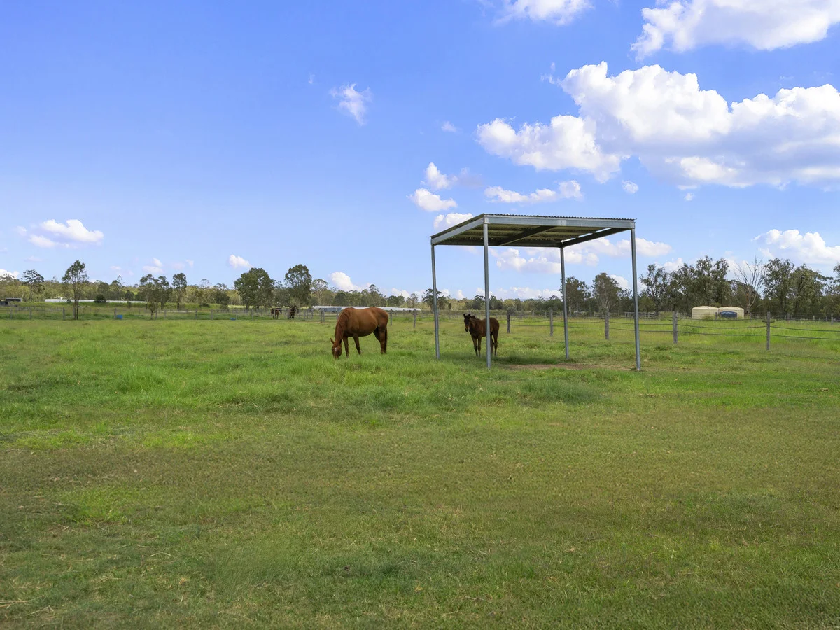 Additional image 42 of 51 Haslingden Road, Lockyer Waters QLD 4311