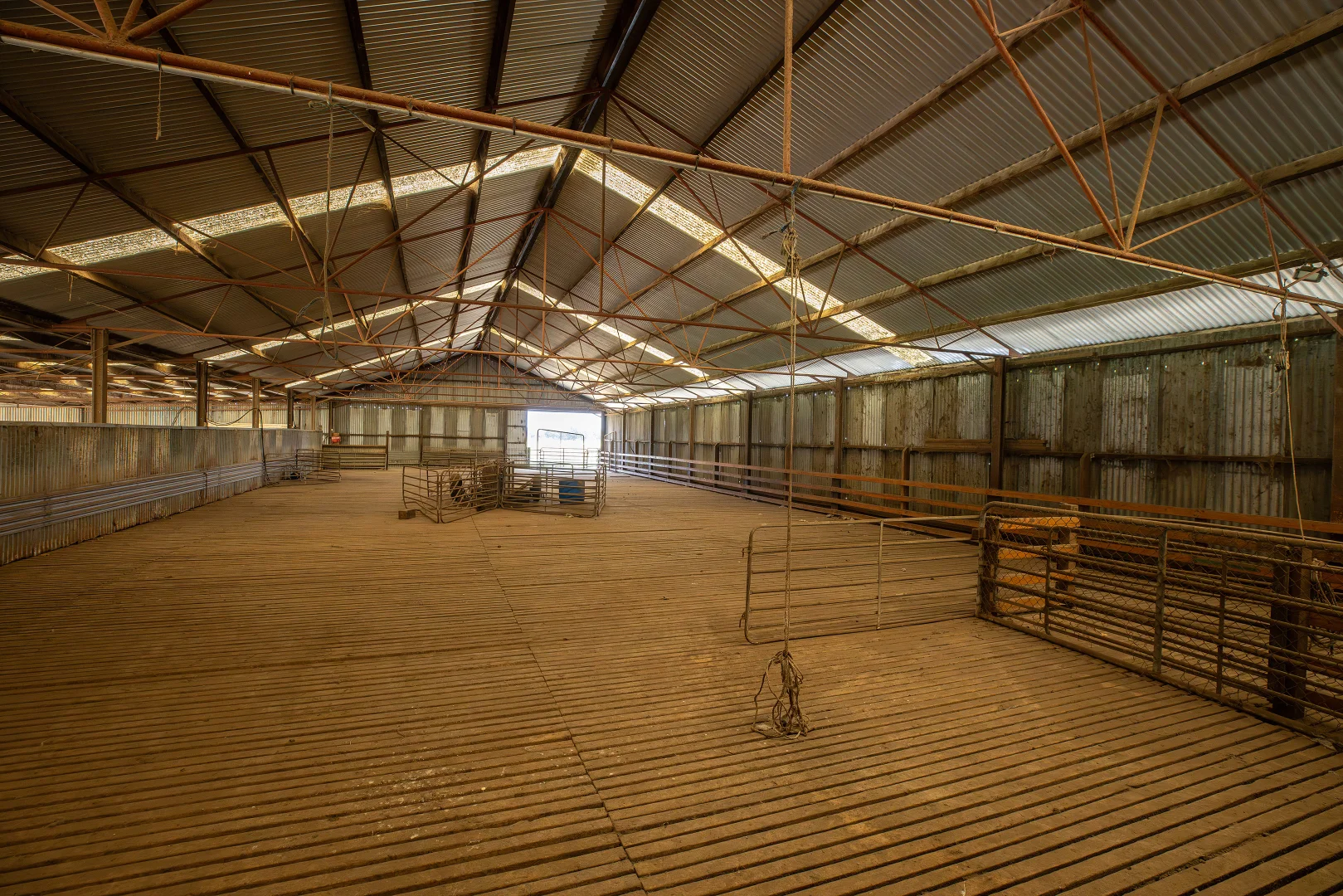 Additional image 30 of 546 Bool Lagoon West Road, Penola SA 5277