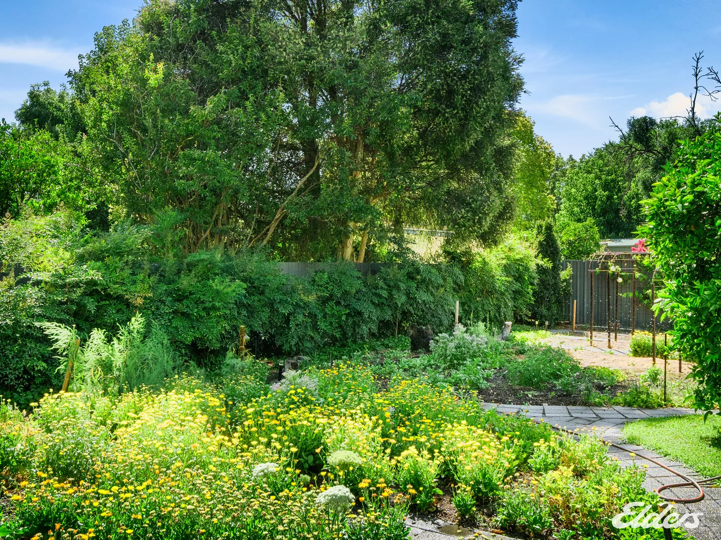 Additional image 24 of 7 Foy Street, Euroa VIC 3666