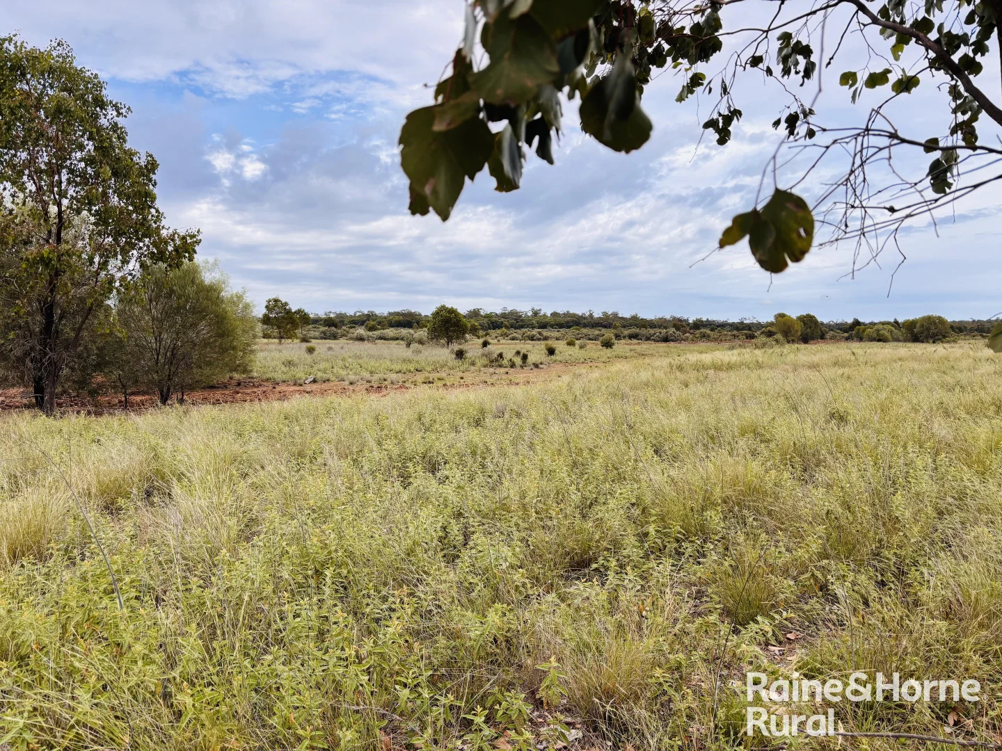 Additional image 15 of 1148 Nalpa Downs Road, Mitchell QLD 4465