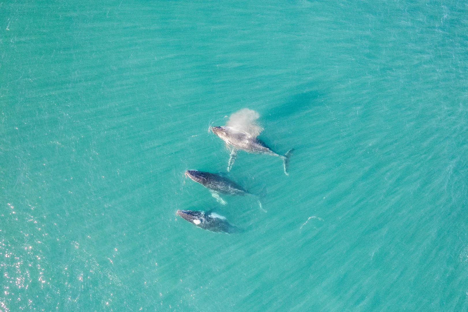 Additional image 9 of 242 Gan Gan Road, Anna Bay NSW 2316