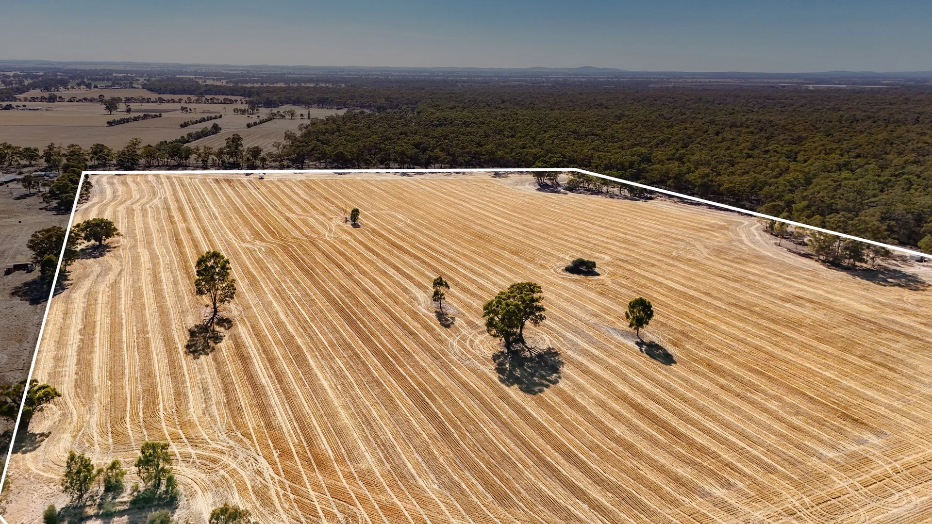 Additional image 2 of 99 Winzar Lane, Goornong VIC 3557