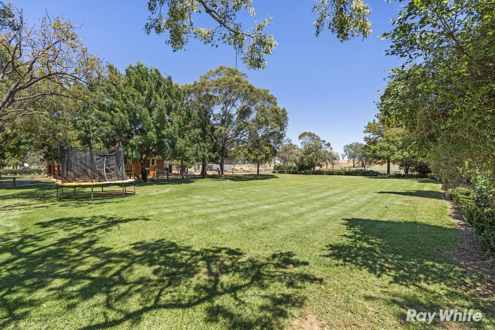 Additional image 27 of 79 Croziers Lane, Ganmain NSW 2702