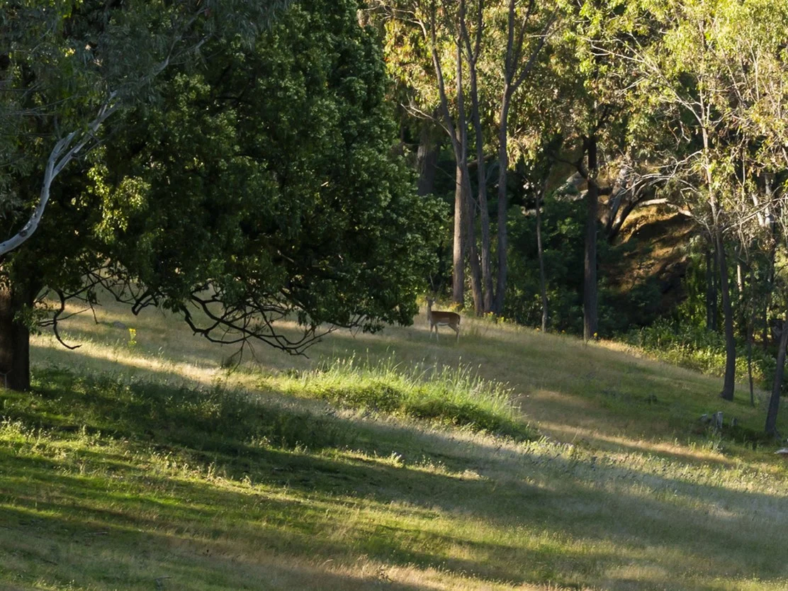 Additional image 14 of 486 Mitchell Road, Tatong VIC 3673