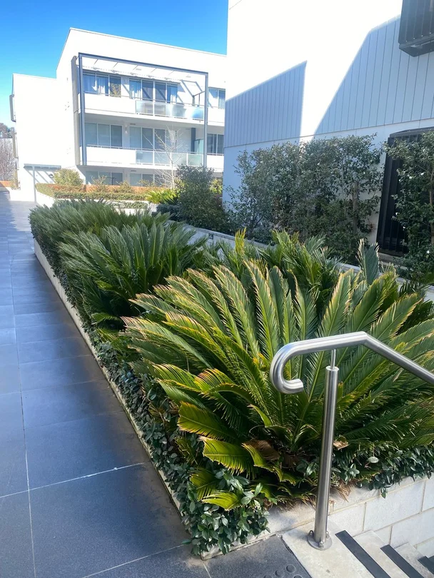 Additional image 13 of 32/1 Surprize Place, Phillip ACT 2606