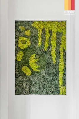 Additional image 6 of 2/10 First Lane, St Peters SA 5069