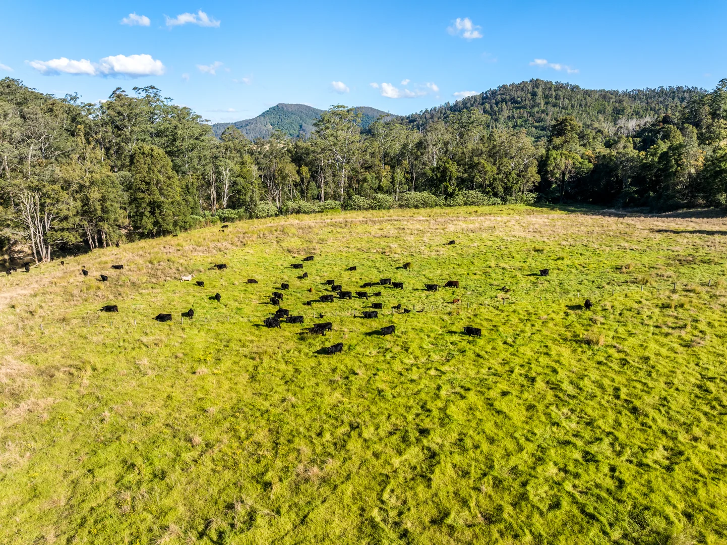 Additional image 27 of 2667 Pappinbarra Road, Pappinbarra NSW 2446