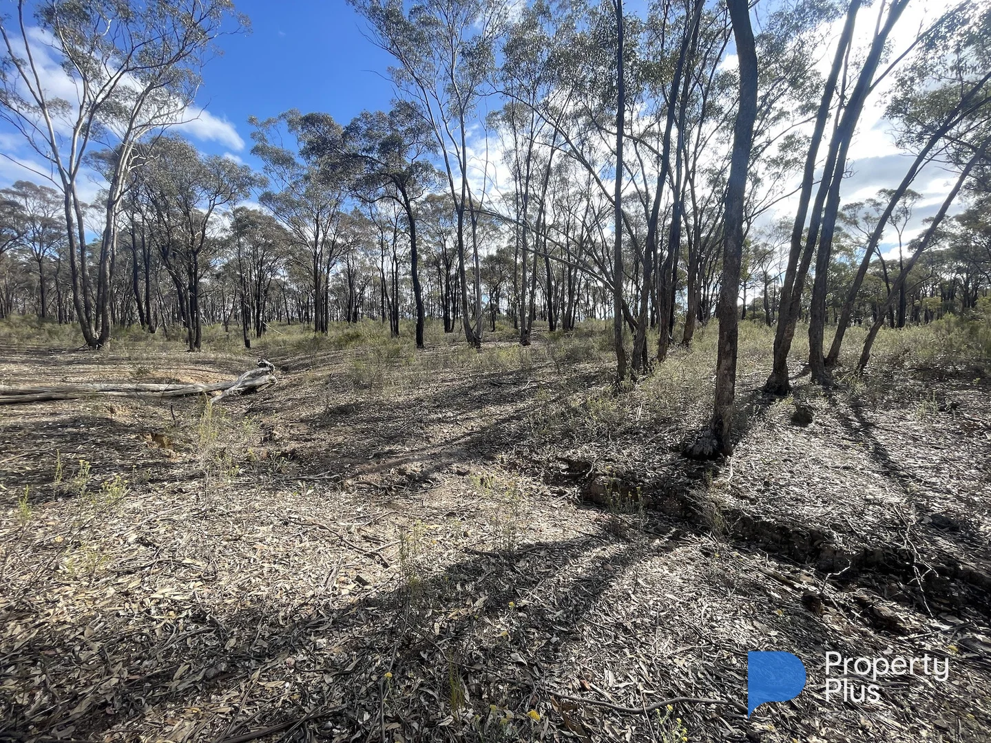 Additional image 13 of CA 37H Olympic Parade, Maiden Gully VIC 3551
