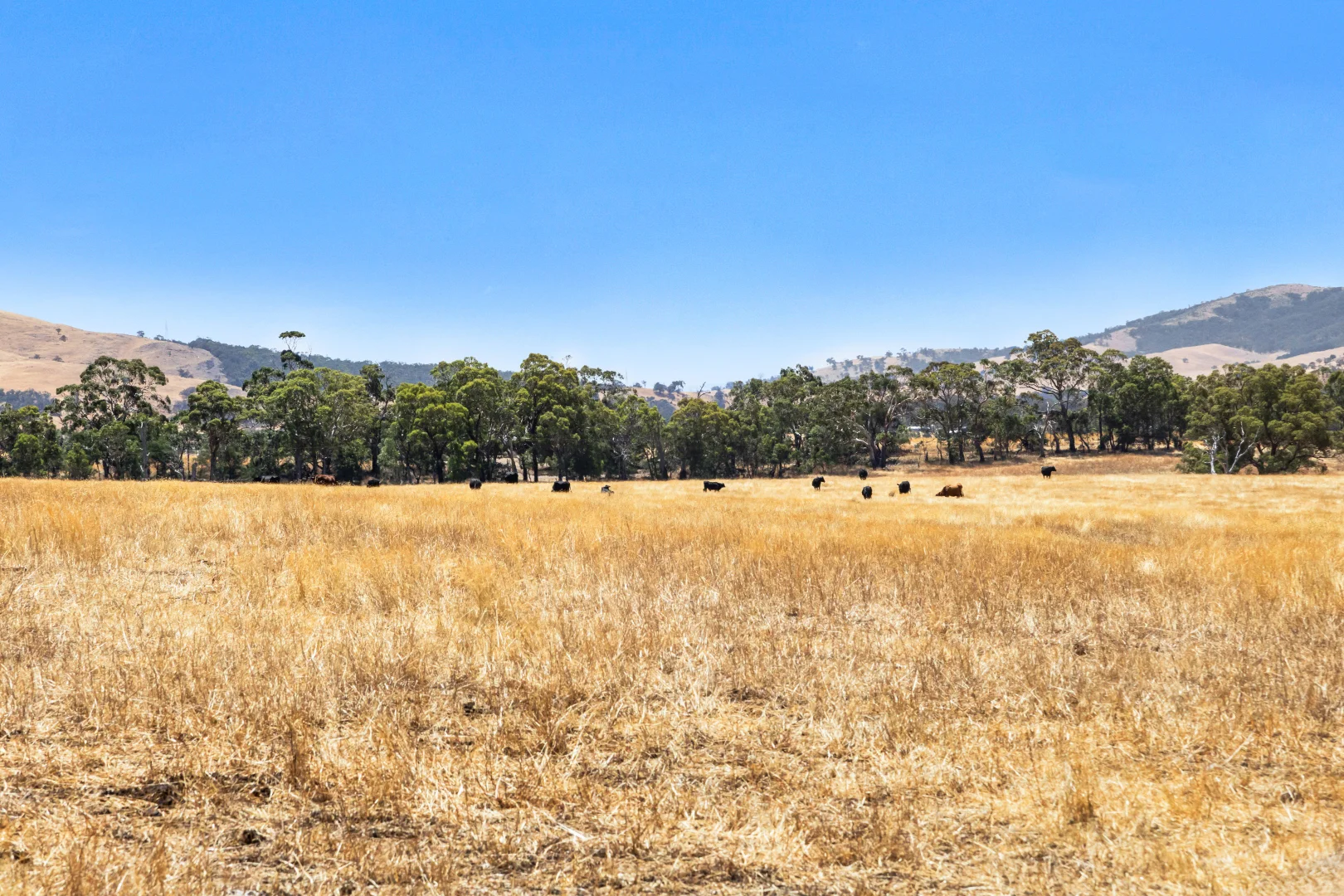 Additional image 10 of 113 Mount Lonarch Road, Mount Lonarch VIC 3468