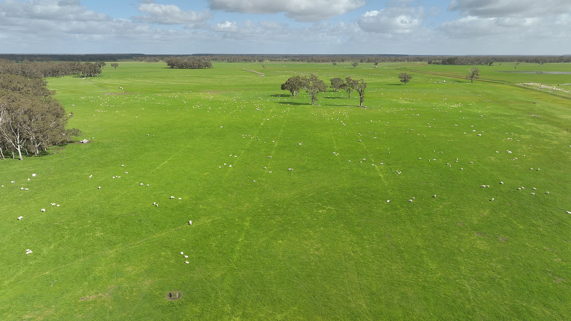 Additional image 8 of 546 Bool Lagoon West Road, Penola SA 5277